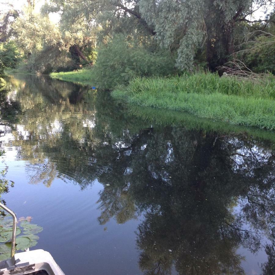Number Forty One Bed and Breakfast Hillingdon Esterno foto